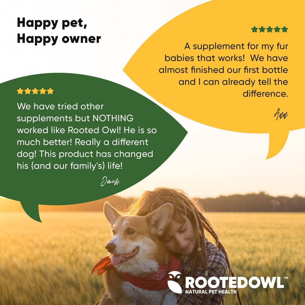 Happy pet and owner with Rooted Owl Natural Pet Health branding