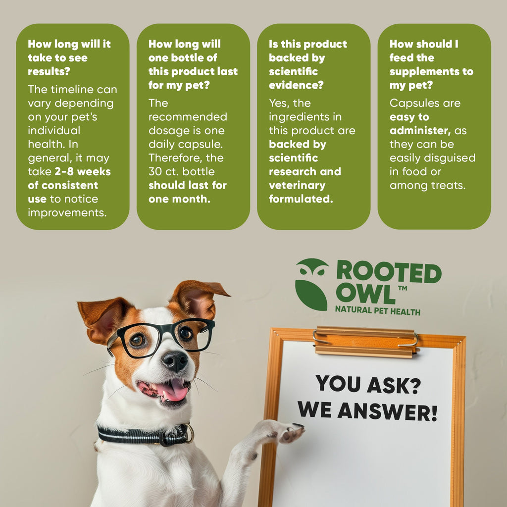 Customer support graphic: “You ask, we answer” for Rooted Owl supplements