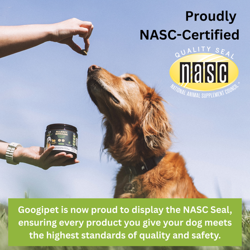 Dog multivitamin chew jar held near NASC seal, with brown dog reaching upward