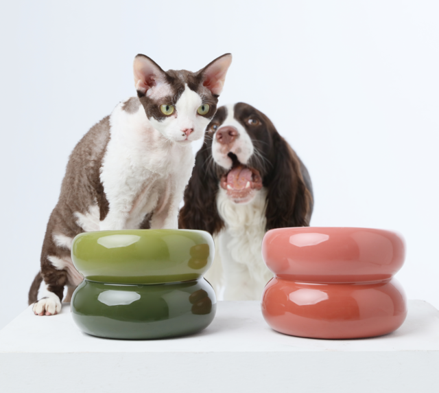 Avocado green and coral soufflé-style pet bowl, stacked two-tier design
