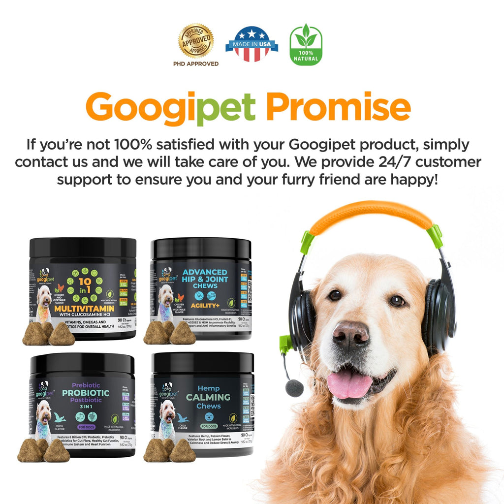 Set of dog multivitamin chew jars with brown dog wearing a headset