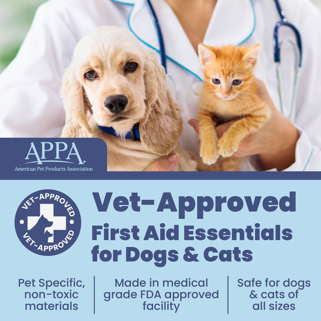 Vet-approved first aid essentials for dogs and cats with a dog and orange kitten