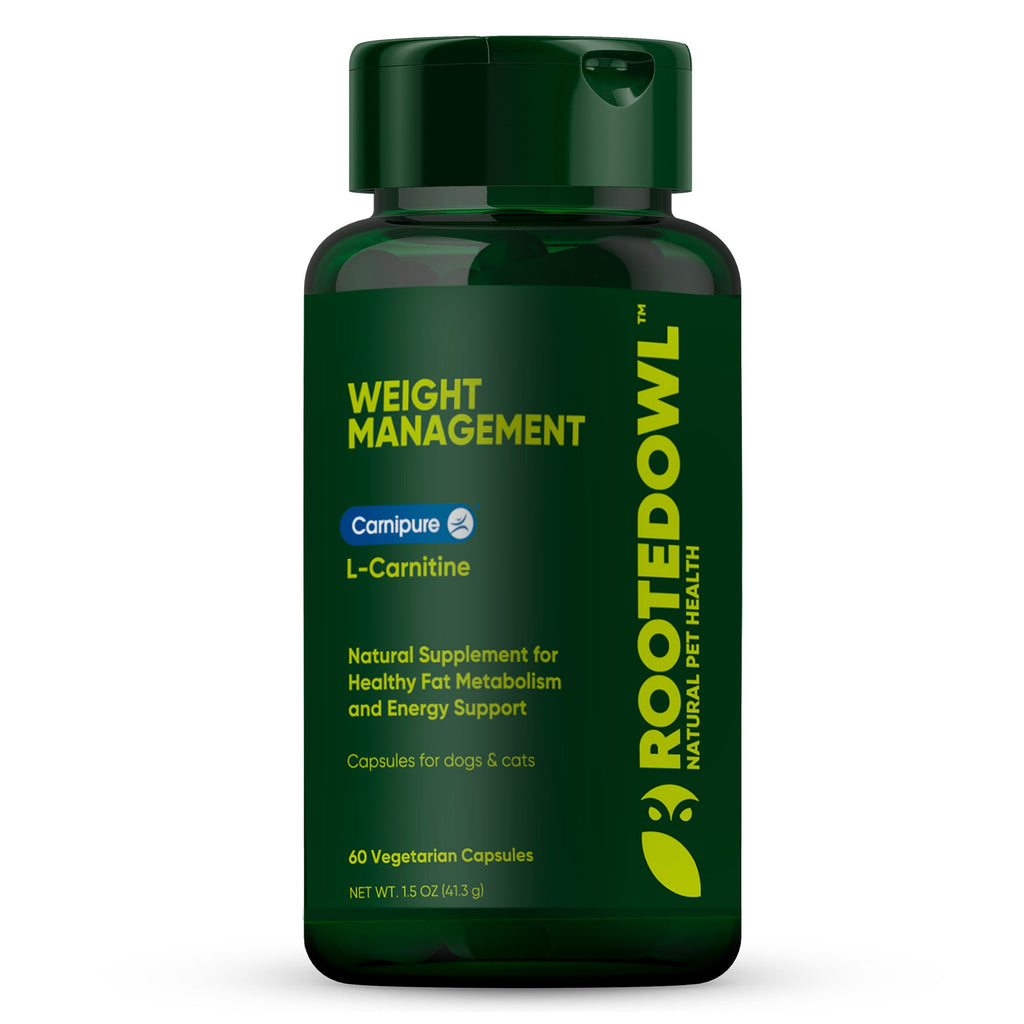 Weight Management supplement bottle with green cap and dark green L-carnitine label