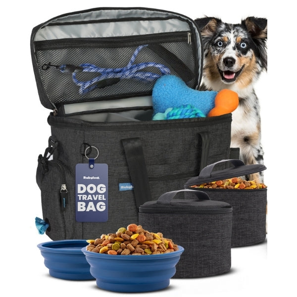 Dog travel bag with front pocket, zip top and mesh compartment, charcoal with blue trim.