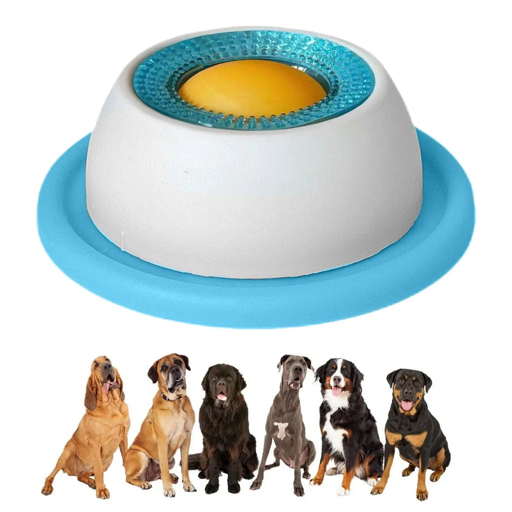 Slow feeder dog bowl with blue outer base, white dome, and textured teal ring insert