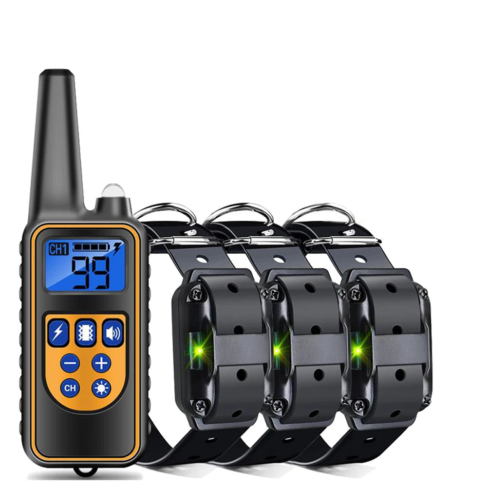 Dog training remote with four black receiver collars and green indicator lights