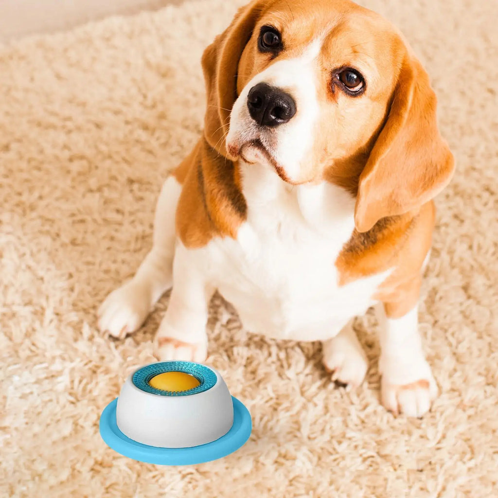 Slow feeder dog bowl with blue base and white dome on a carpet beside a dog