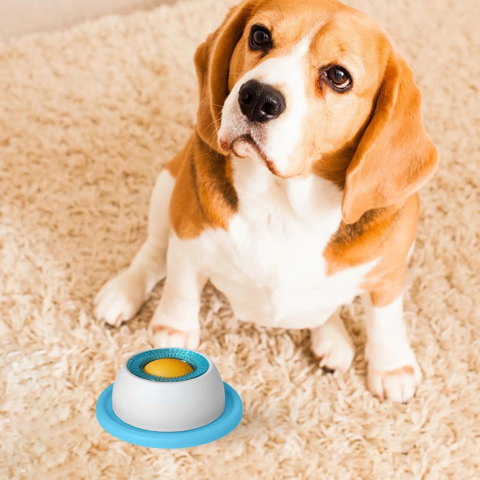 Slow feeder dog bowl with blue base and white dome on a carpet beside a dog