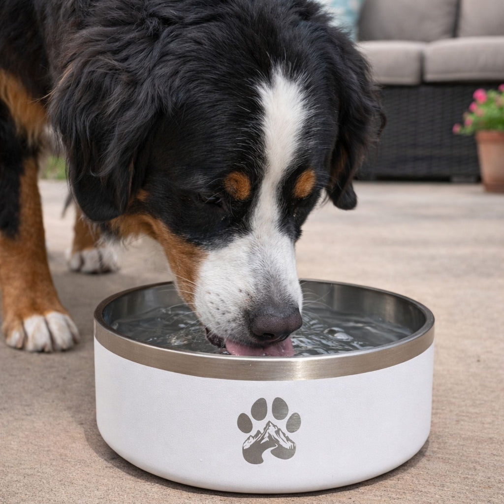 White stainless steel feeder bowl with paw print logo, with dog nearby