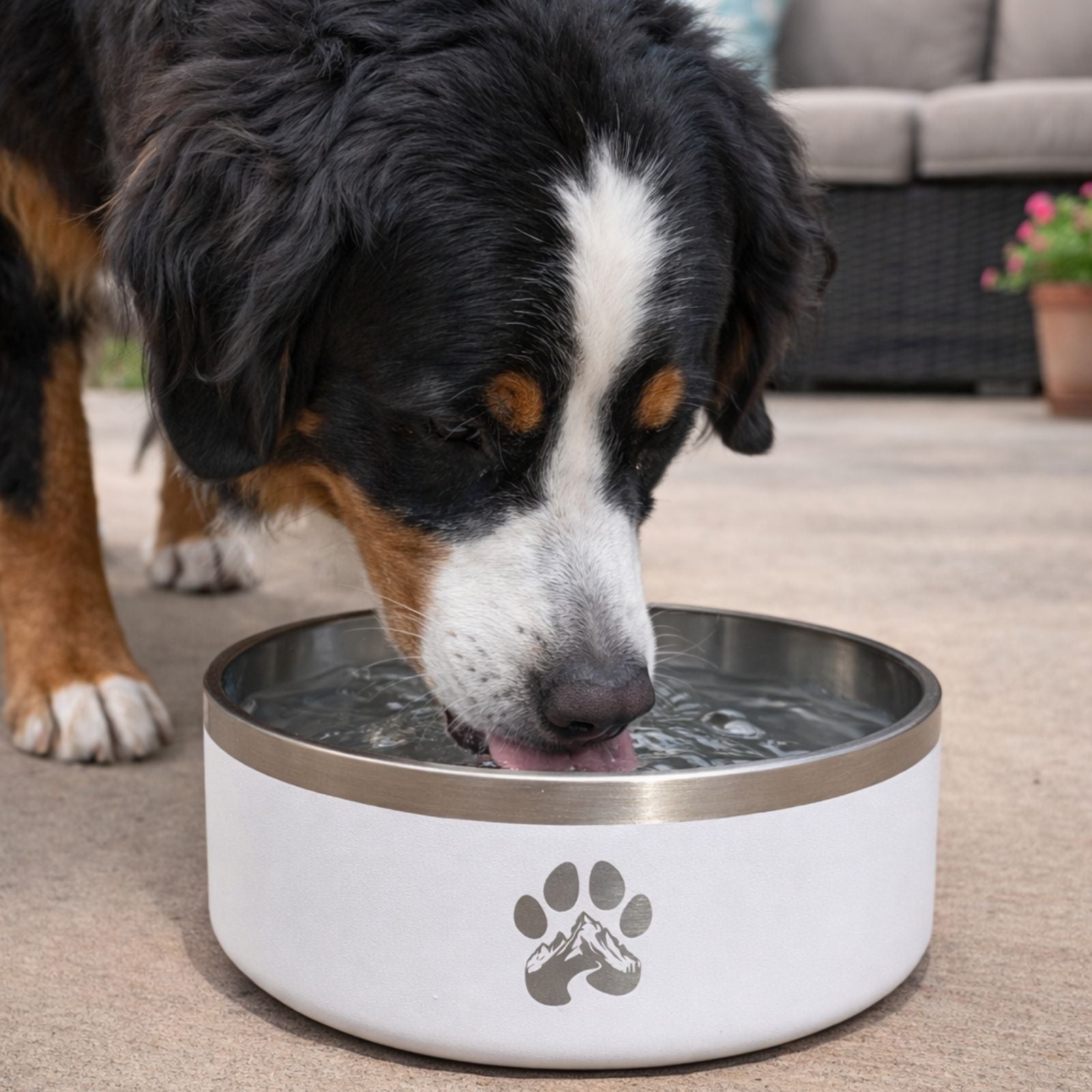 White stainless steel feeder bowl with paw print logo, with dog nearby