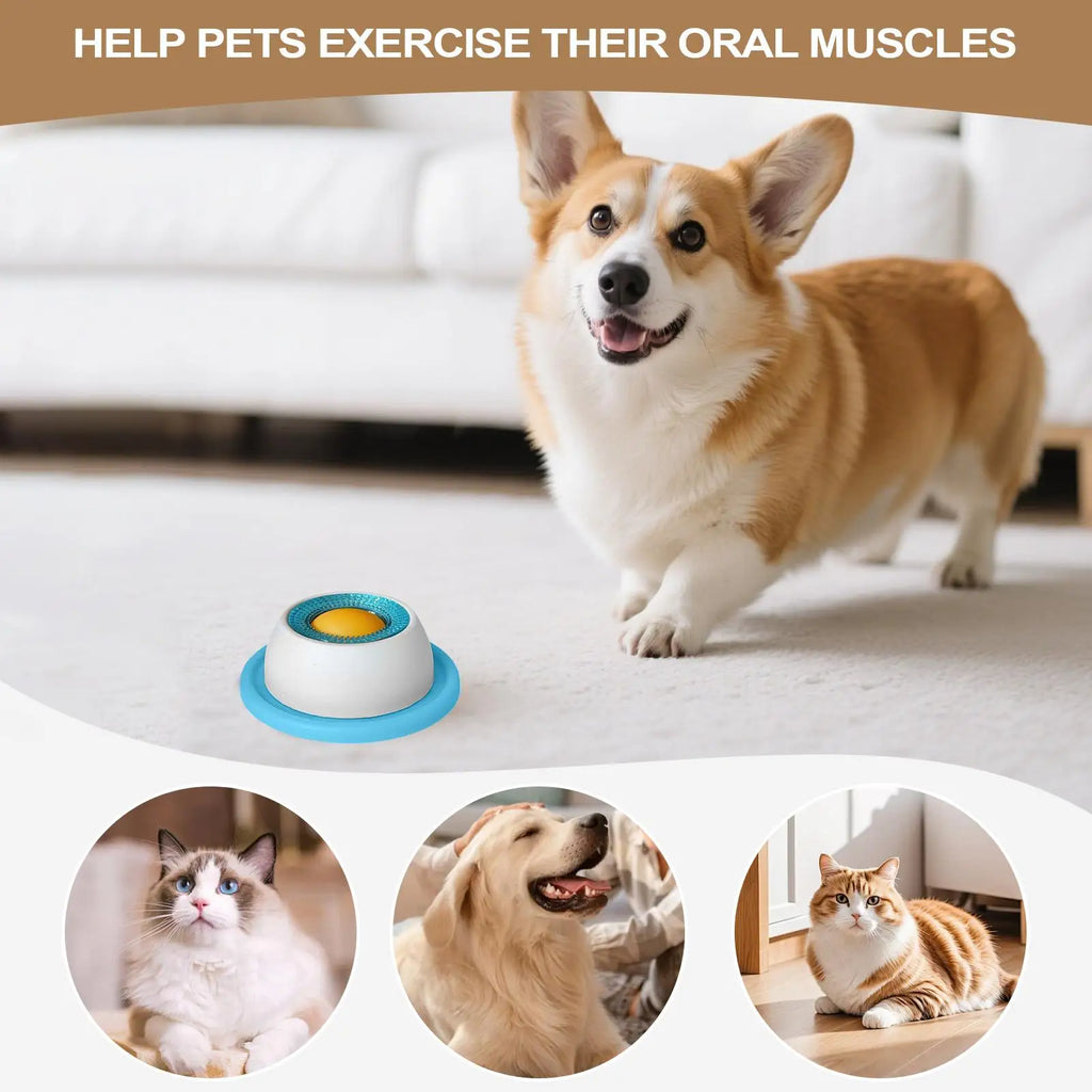 Slow feeder dog bowl with blue base and white dome on a living room floor
