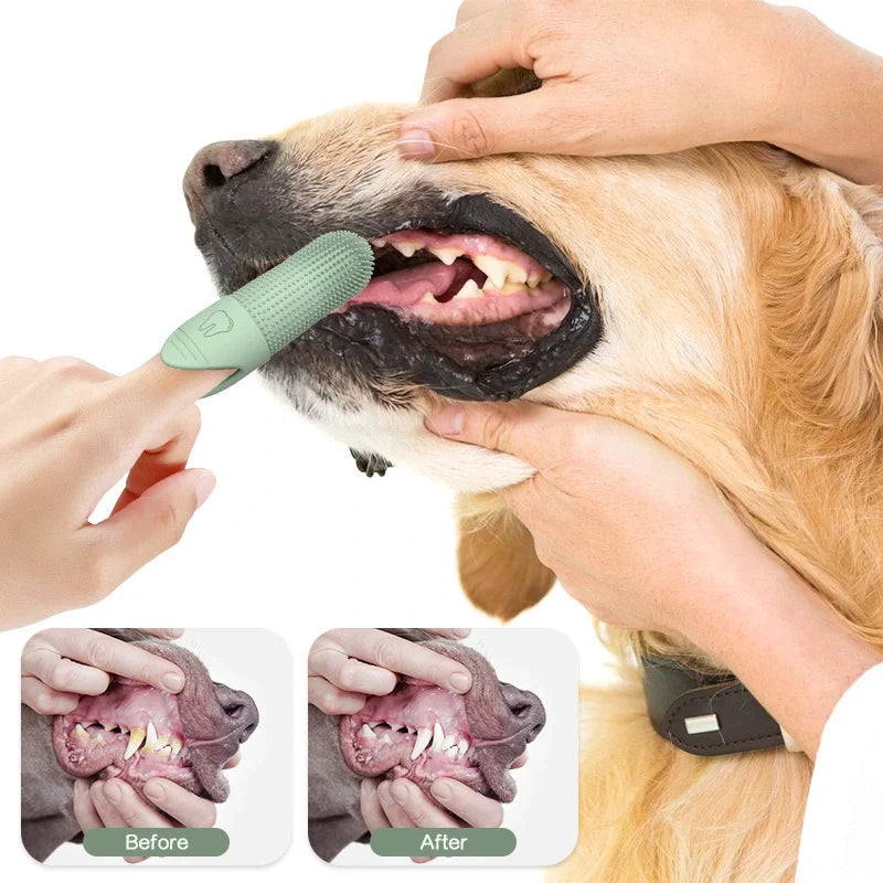 Green finger toothbrush with bristle nubs for pet teeth cleaning, held at mouth