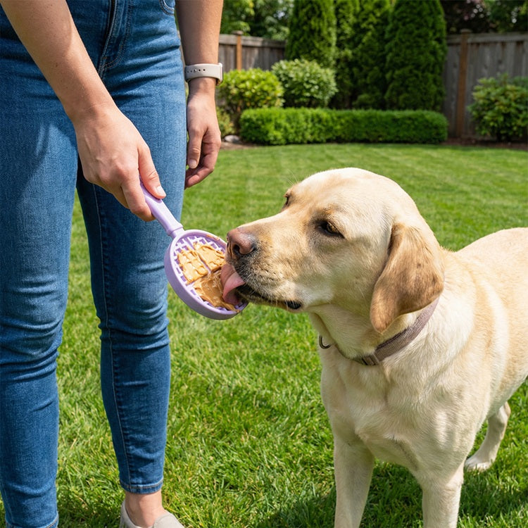 Hand-held purple lick stick bowl with waffle surface, licked by a tan dog
