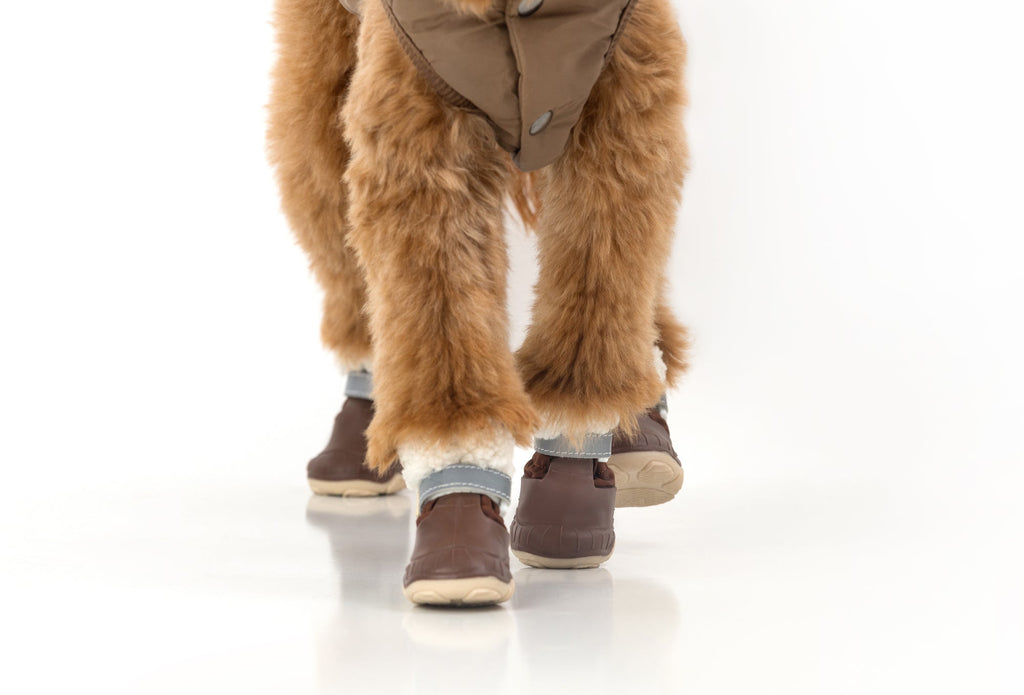Brown dog snow boots showing paw area and cushioned cuff under a coat