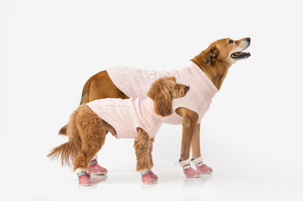 Two dogs wearing pink dog snow boots with white knit cuffs and white-tread soles