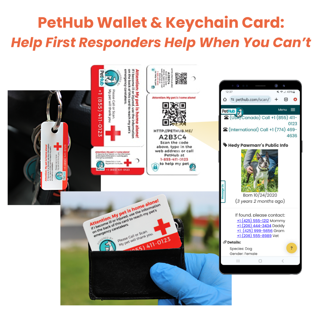 Pet ID wallet with attached keychain card and smartphone showing pet profile