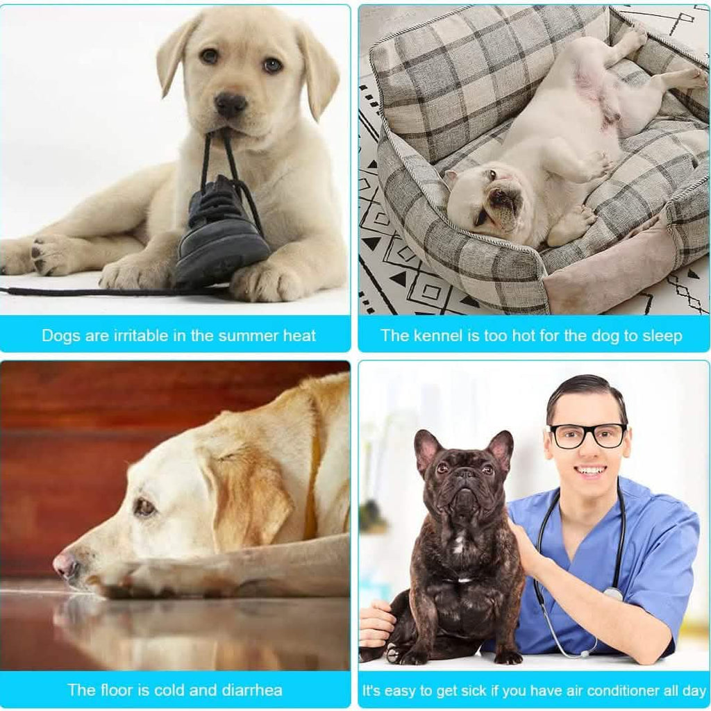 Automatic cooling pet mat; dogs shown without the mat visible