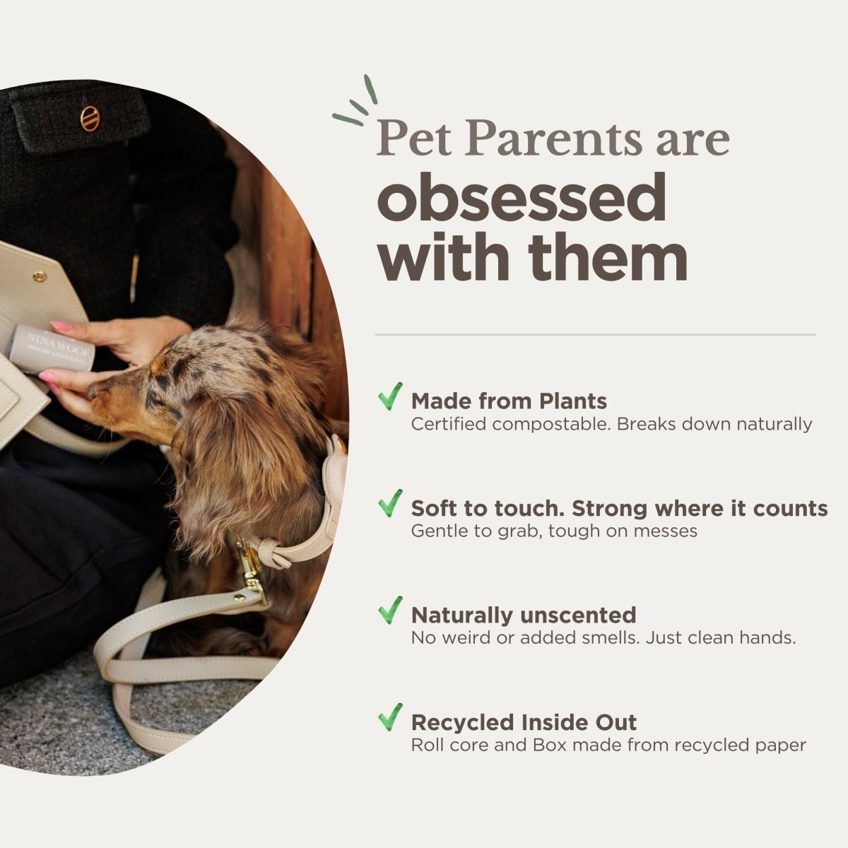 Biodegradable dog waste bag pack near a small dog in a carrier.