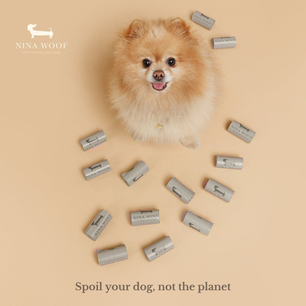 Dog with biodegradable dog waste bag packs scattered around it.