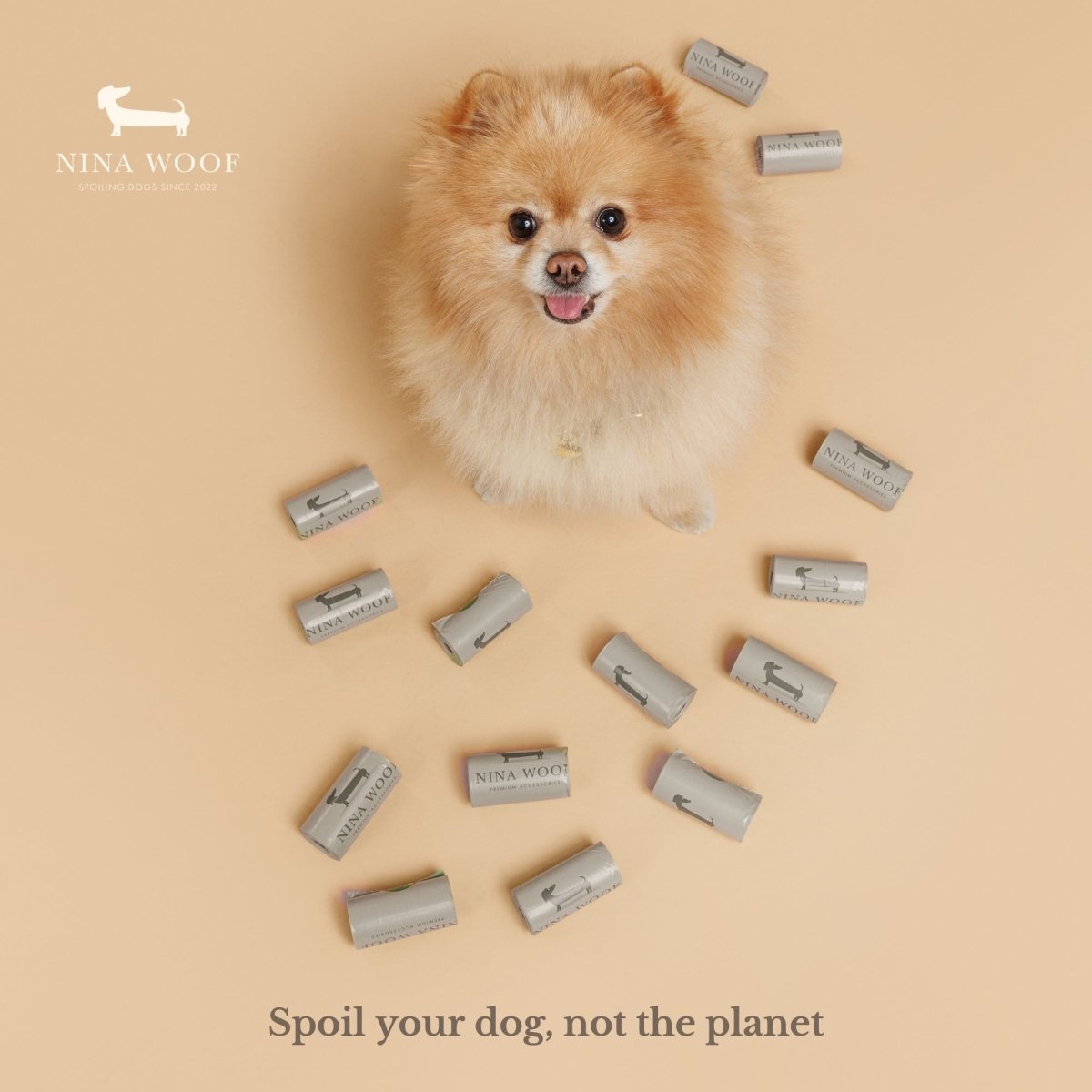 Dog with biodegradable dog waste bag packs scattered around it.